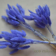 Лагурус синий (Lagurus), 27-30 шт
